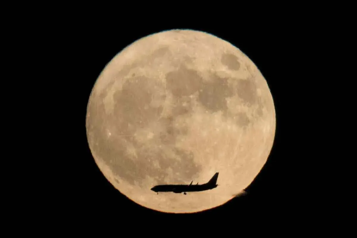 پکن - چین