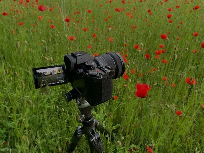 دوربین جدید کانن EOS M50 Mark II