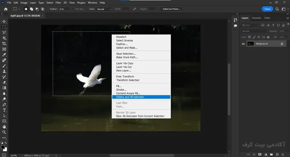 قابلیت One-click Delete and Fill