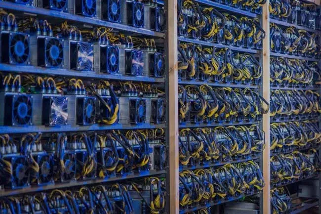 آیا NFT ها به محیط آسیب میزنند؟