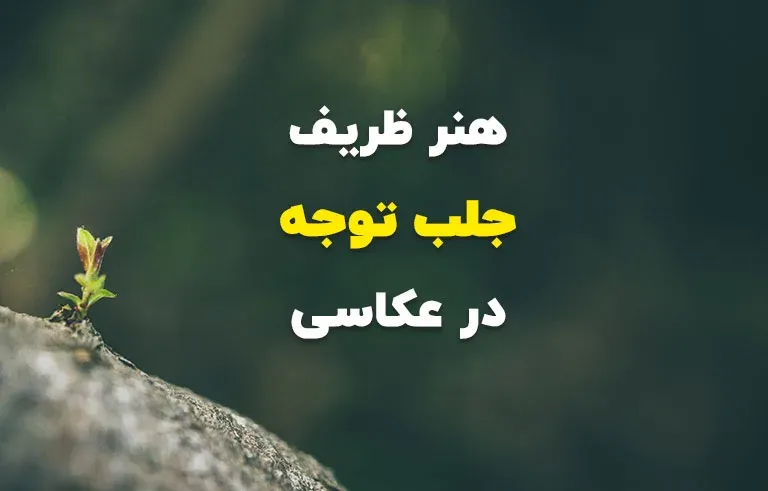 هنر ظریف جلب توجه در عکاسی