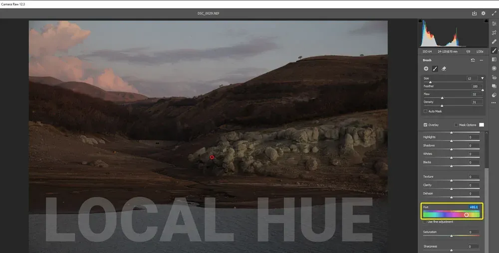 ویژگی بسیار دوست داشتنی و جدید Camera RAW 12.3