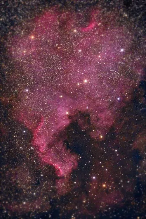سحابی آمریکای شمالی (NGC 7000) سحابی گسیلی است که در جهت صورت فلکی سیگنوس (قو) قابل مشاهده است. شما می توانید سحابی نزدیک به Deneb ، درخشان ترین ستاره Cygnus را پیدا کنید. NGC 7000 مساحتی چهار برابر بزرگتر از ماه کامل را پوشش می دهد. سحابی آمریکای شمالی یک هدف آسان برای عکاسان نجوم است. می توانید در هر فاصله کانونی آن را عکاسی کنید و نتایج جالبی خواهید گرفت Canon EOS 450D Baader modified Lens: Skywatcher 80ED Exposure: 5 x 600s Aperture: 7.5 ISO: 1600
