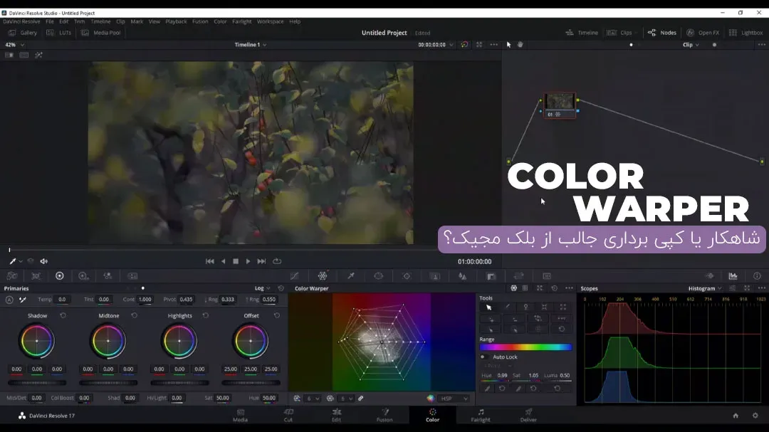 color warper در داوینچی 17