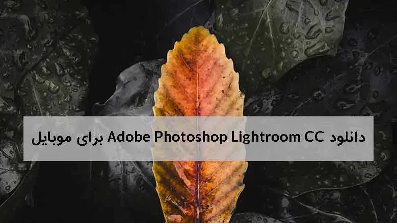 دانلود برنامه لایت روم برای موبایل (Adobe Lightroom) | نسخه پولی ولی رایگان!
