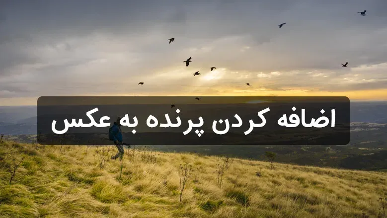 اضافه کردن پرنده به عکس با ترفند کنترل رنگ جالب