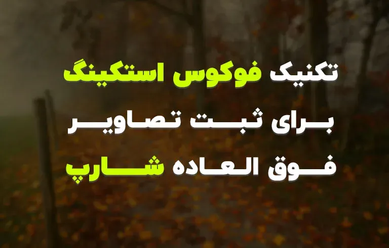 تکنیک فوکوس استکینگ برای ثبت تصاویر فوقالعاده شارپ