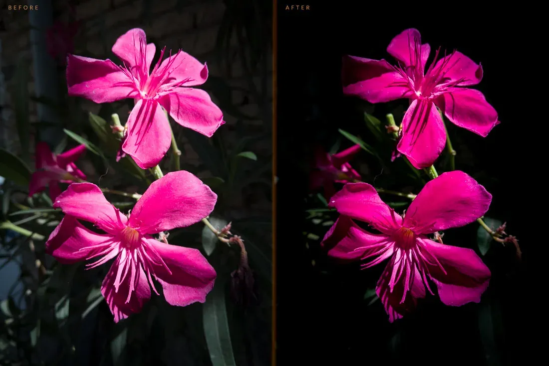 آموزش کار با Lightroom موبایل به صورت حرفه ای