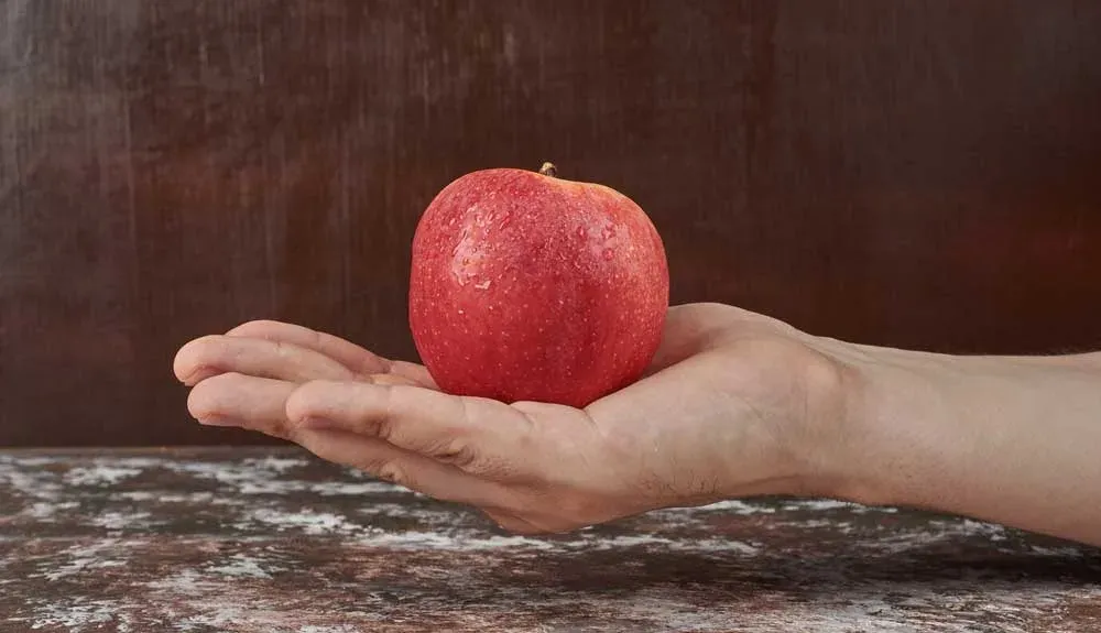 کاربرد عکاسی در طراحی
