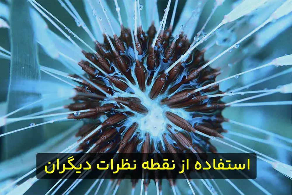 استفاده از نقطه نظرات دیگران