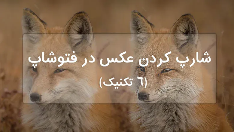 6 تکنیک شارپ کردن عکس در فتوشاپ