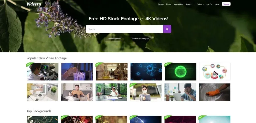 Videezy یک سایت کاربردی برای دانلود ابزارهای گرافیکی